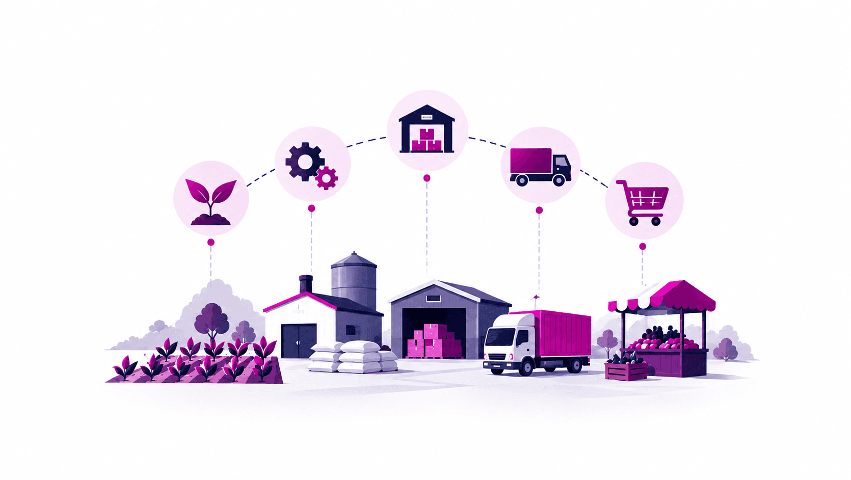 Which Parts of the Value Chain Matter for Somali Agribusiness? What a 2025 Study Reveals